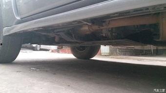 重庆山猫最新爆料,最新爆料背后的真相与内幕