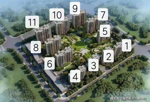 水神官方最新爆料视频在线观看