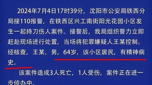 沈阳网友爆料新闻最新消息,最新突发事件引发关注