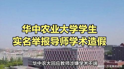 农业大学最新爆料,农业科技革新助力乡村振兴