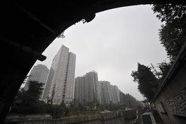 浙江楼市爆料网最新新闻,揭秘热点区域房价走势与政策动向