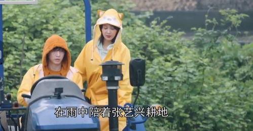 老穆最新爆料视频播放,事件背后惊人真相