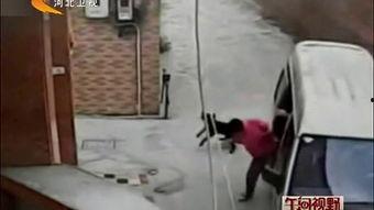 最新偷鱼爆料视频大全图片,视频大全图片揭秘惊心动魄瞬间